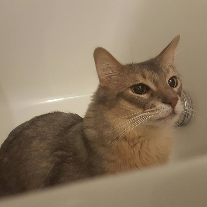 366a37c1 9ea3 4066 9732 4f4e977aa32c 1523886102876