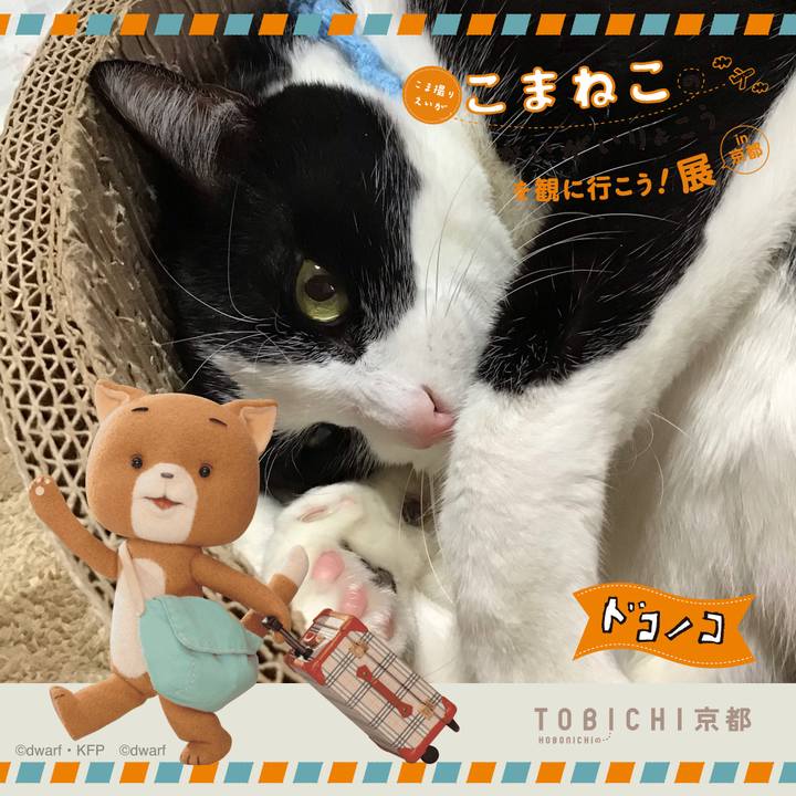 366a9928 49d7 4d61 9aef 9e121df294ae 1740209459225