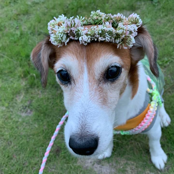 366ad7ad 73b2 4575 9eec eb2299c0bd88 1564203852594