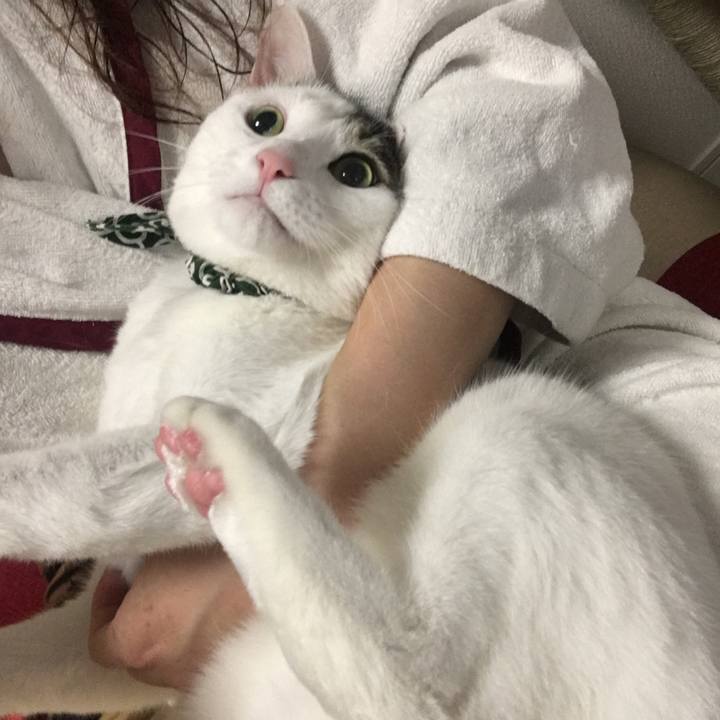 366b1c31 d937 4753 a623 48a9616aac6e 1524819524510