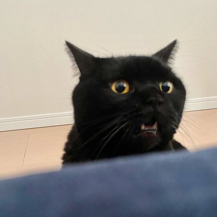 366b2188 b593 4ac1 a7b7 364d498224a7 1733011998962