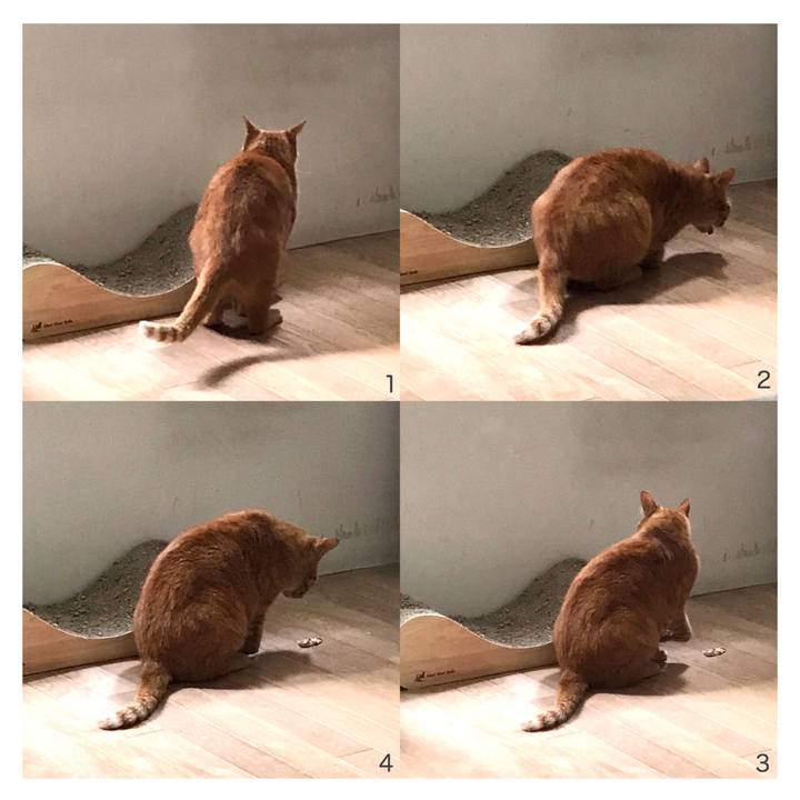 366b437f 31ec 41e7 935b 1e378d1c4a4c 1593760702224