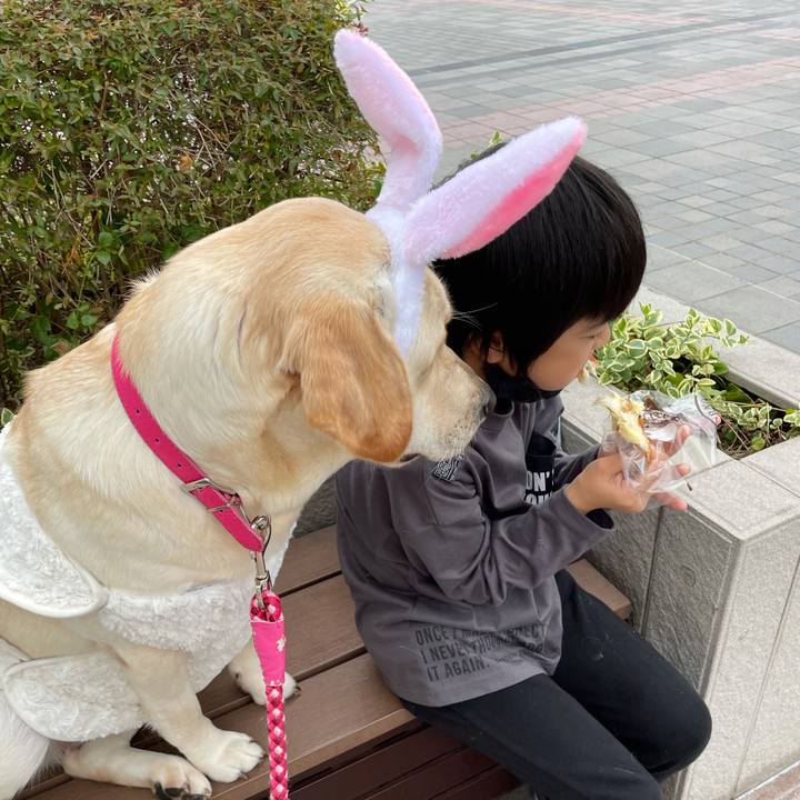 366b4ec9 e361 4cfa 9429 531f455c5a2e 1635601199398