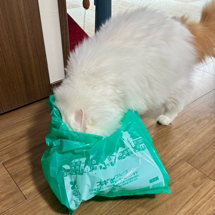 366b5619 d46f 4ce7 9052 92ddc325efe9 1762043753028