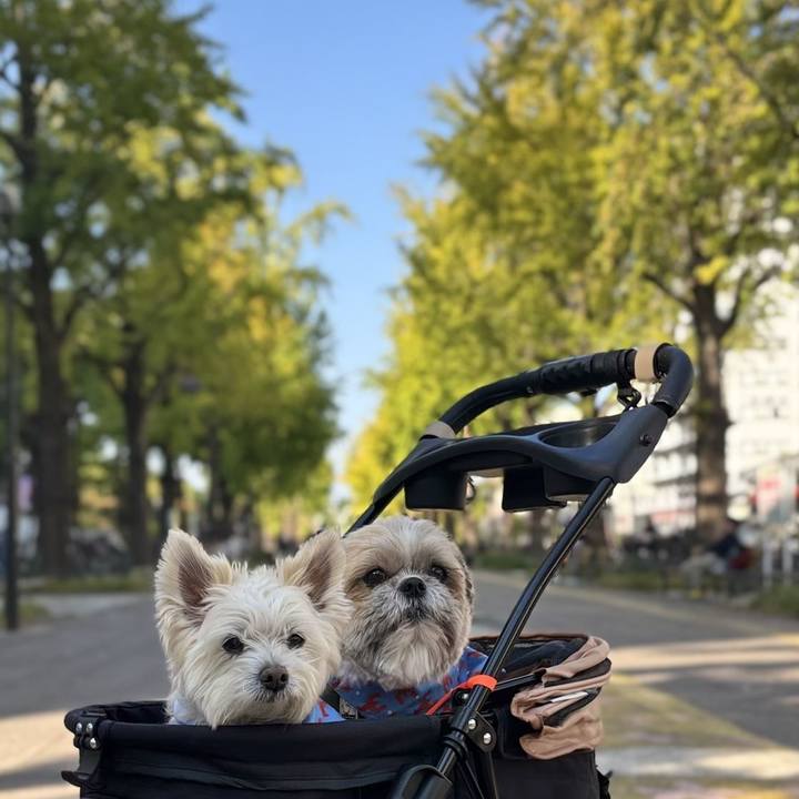 366b60fa 2aa6 4332 9ba8 fd1938294d4a 1761825068351