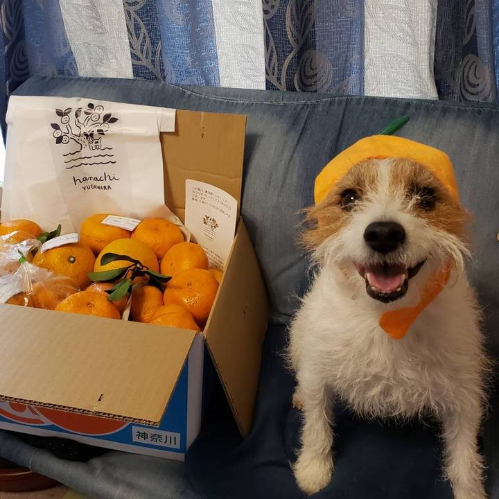 366b6851 78ea 480f ac23 67df4792fa6c 1643167007304