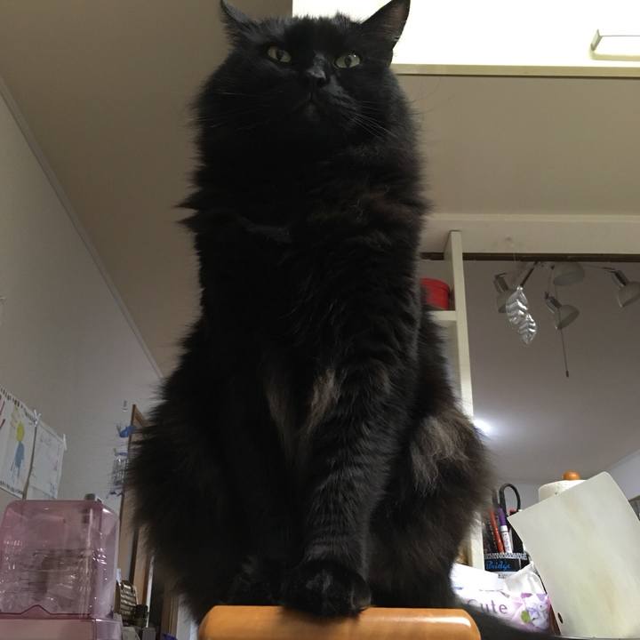 366b82a2 7256 48d8 b0b2 94f4ebe54df8 1515500211491