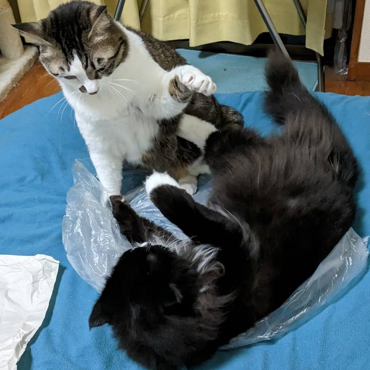 366b92a8 f3a1 430b bdff 16e81c9c142b 1674393936573