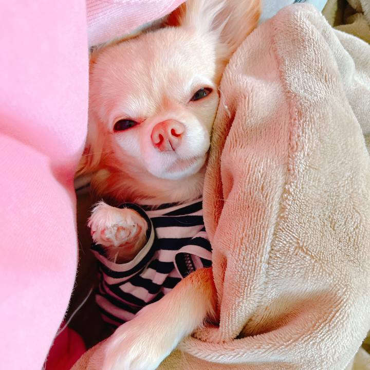 366b9cf8 7076 4486 9e39 82681eeb19f9 1648544576649