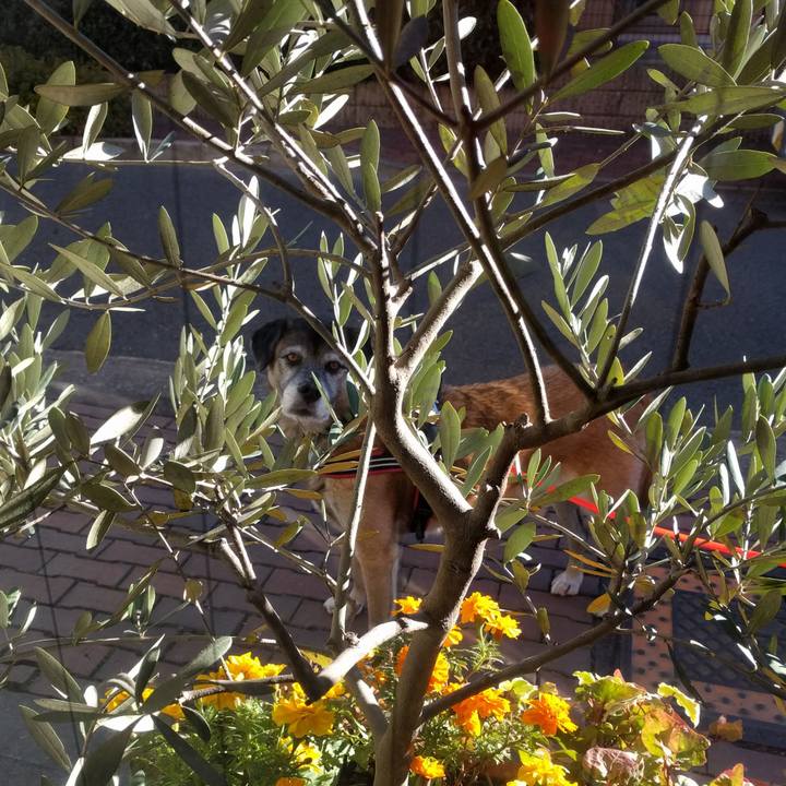 366ba9db 53fe 4877 9265 fb0cfc5bf342 1513124831796