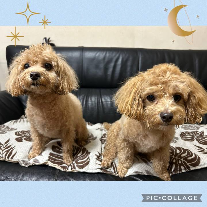 366bc811 4ffe 47d6 9880 d28344ffc6e4 1730729536988