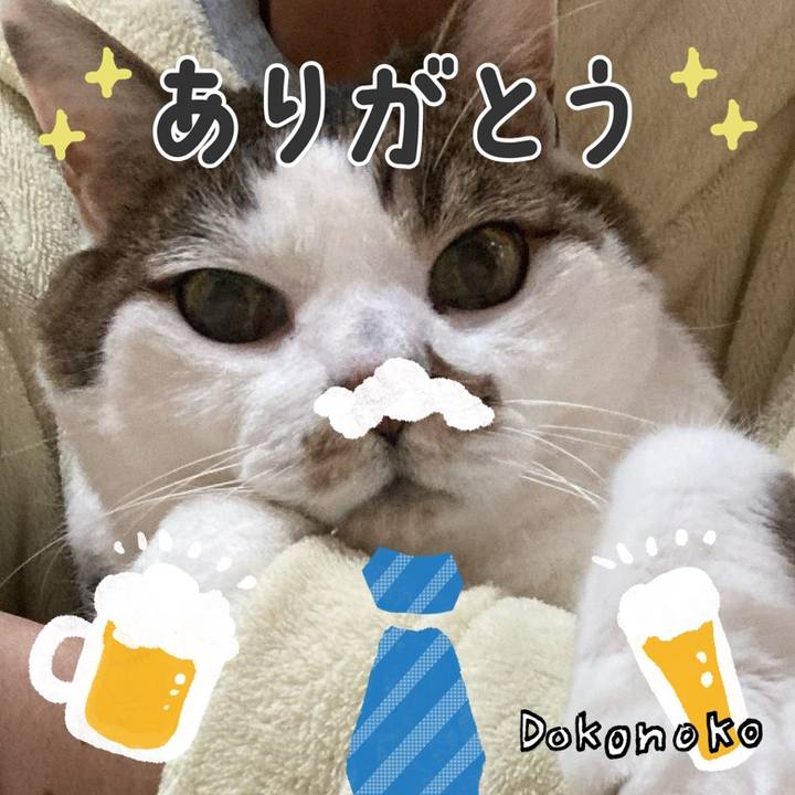 366bcc06 c546 4818 b06a b59fa318cc74 1717701588838