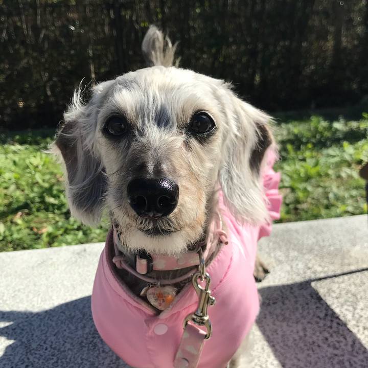 366be186 537a 402b 9f76 882e209b3cc7 1510456563306