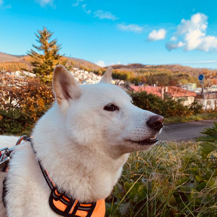 366c69c2 0f1d 46dd bf4d 2ab6121b85f2 1636089840958