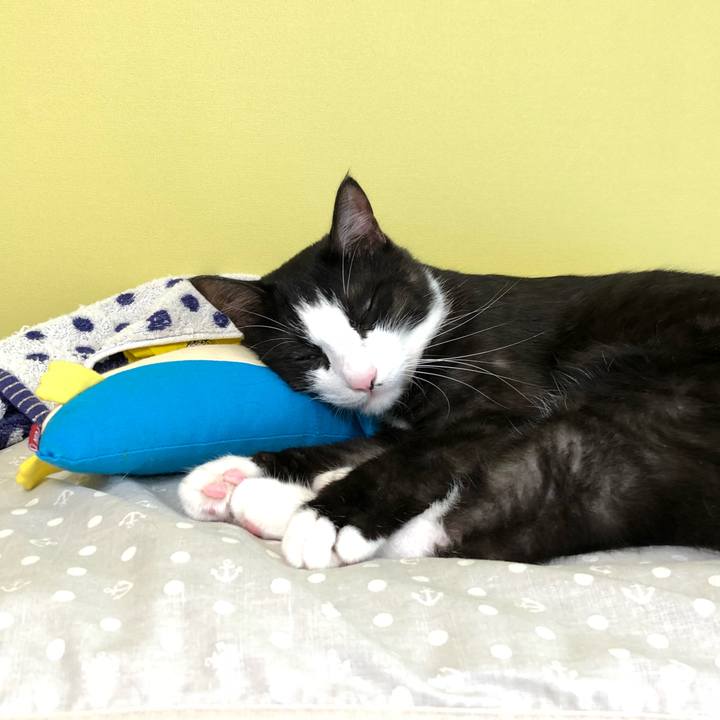 366c7f32 d54b 4289 a35d 3fec7ec276f6 1534728432409