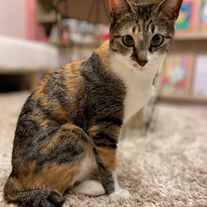 366cd2e5 d886 4be4 bb79 1fe42300bbd8 1684409832052