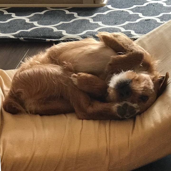 366ce2de 2d6c 41db bde9 6277665abc6d 1557924317664