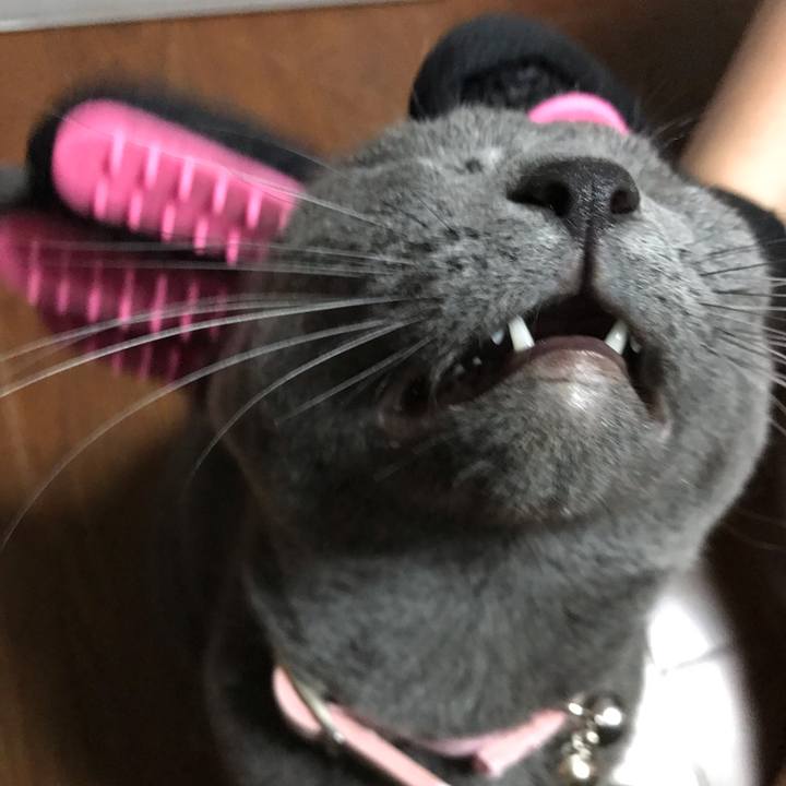 366ce358 5bb8 4d6d 9e7d f14b6e53191a 1564584557830