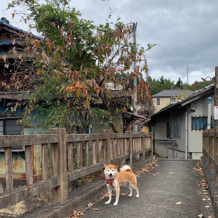 366d29b0 6e10 41f1 a803 51cd5b2a6990 1603452680962