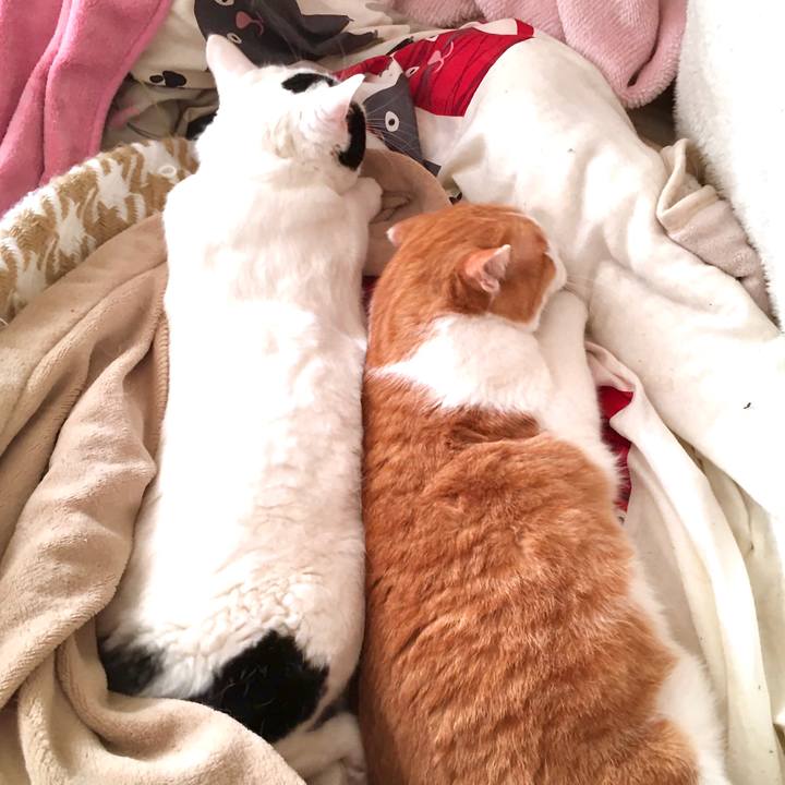 366d6e41 2c84 46dc 961d f05d351b4455 1580288892620