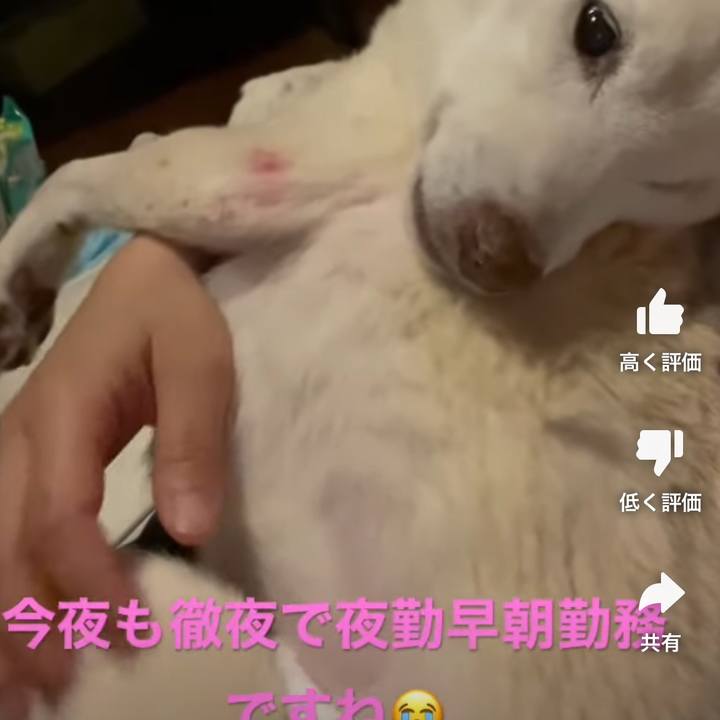 366d8787 8795 495d 96e0 4c438522396c 1673291316618