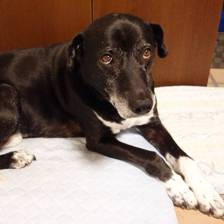 366db1c0 255b 4dff 830c 55ddddf61260 1747998255451