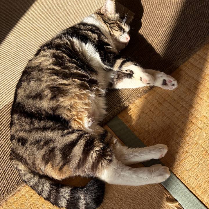 366dc1cc 75eb 4625 8fc0 bac2a706ac08 1766726124483