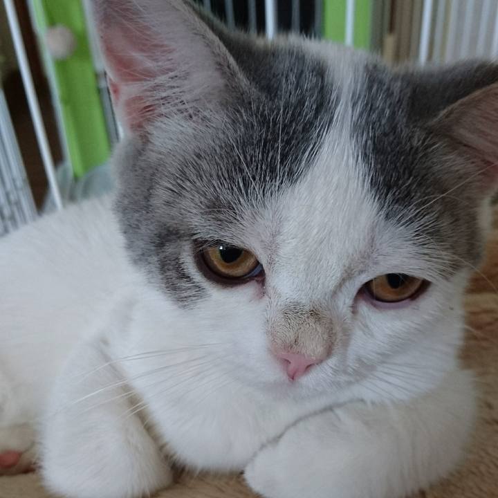 366dd33d c2ba 49b4 b887 6f6d287af5c0 1533081280125