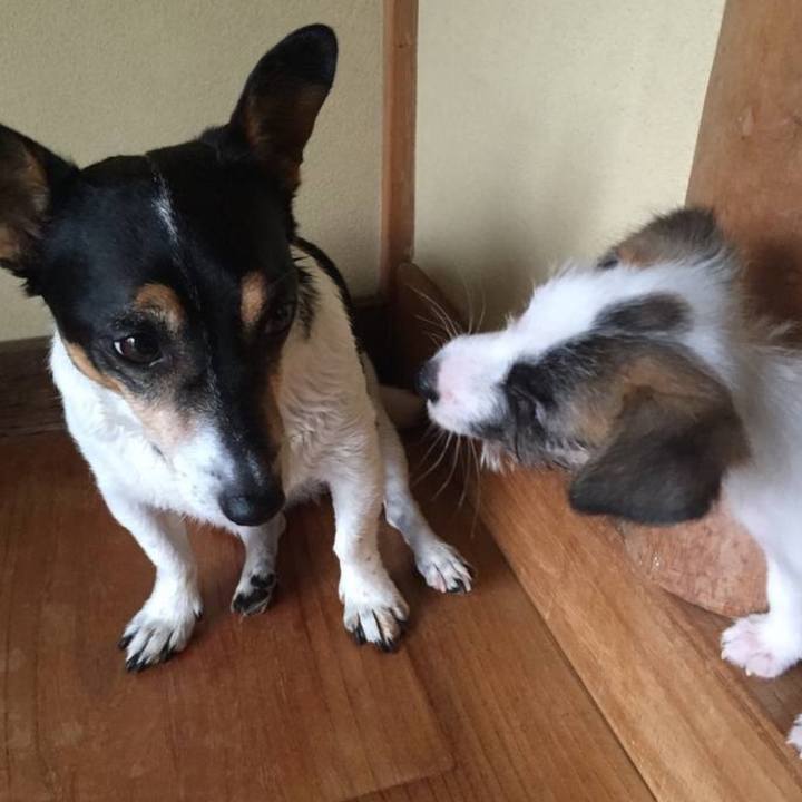 366de07c 7f67 4e6e a632 f900cf2db99a 1752300080148