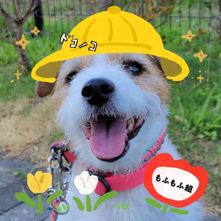 366e0e0d 2600 49a2 a7ae 3b52517b1a44 1712294361374