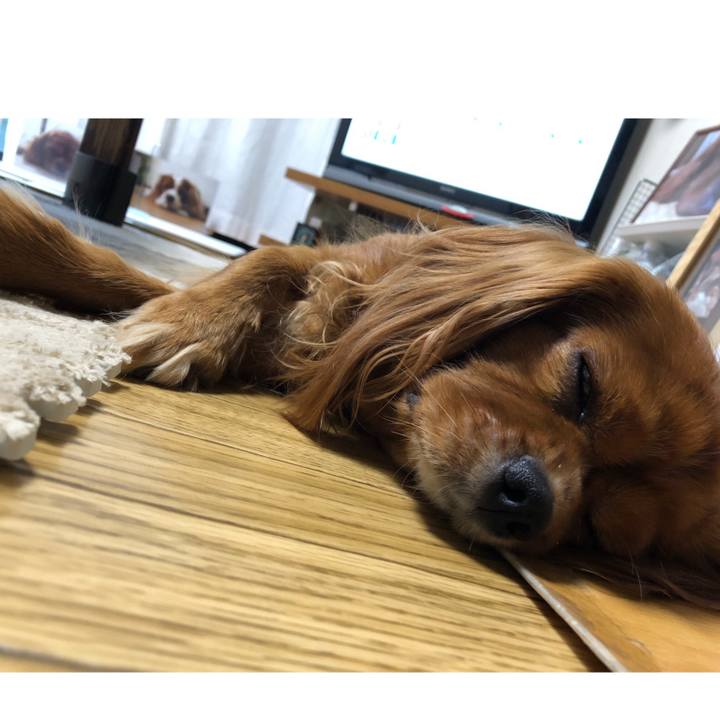 366e0e4c 9a28 4023 9497 bf9fac6c5706 1594938693474