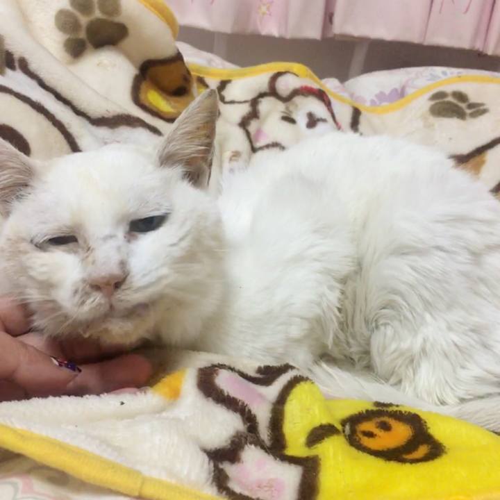 366e2e65 a285 4ec2 a6ff b669260186b9 1514126114129