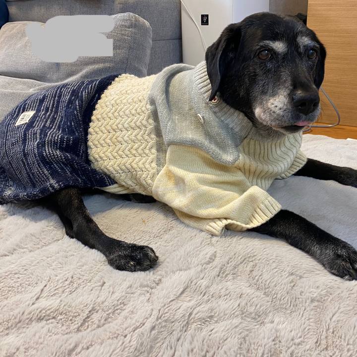 366e8321 56b3 45fd 99b1 d0c888ffba6c 1734498068186