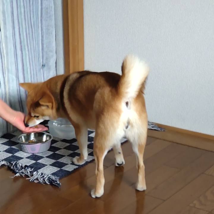 366e9696 d875 454e 8b79 2ba4e6ec80a3 1640752922249