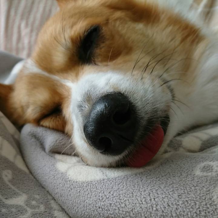 366eb36a b823 4722 a16a dcd997687c6f 1523603437844