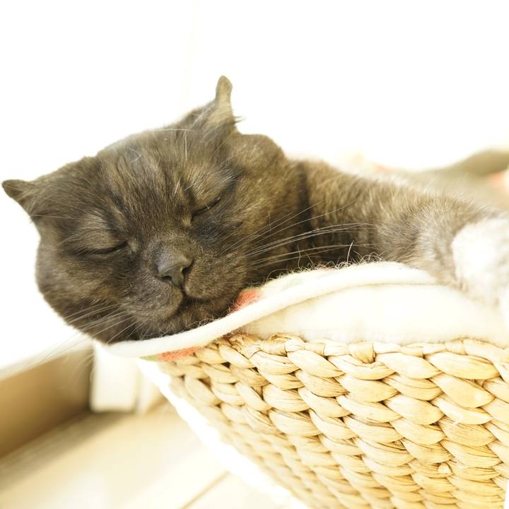 366ec5e0 c7f2 4779 9c40 e4bdd32f51ec 1616203957749