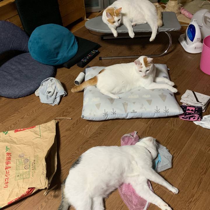 366ede95 1a3b 4714 84ac 1e9e15138870 1570292362286