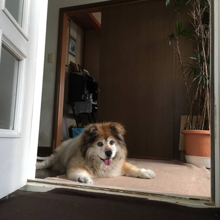 366efa6d 1c49 42ef b983 1b61700dc7ca 1556602493365