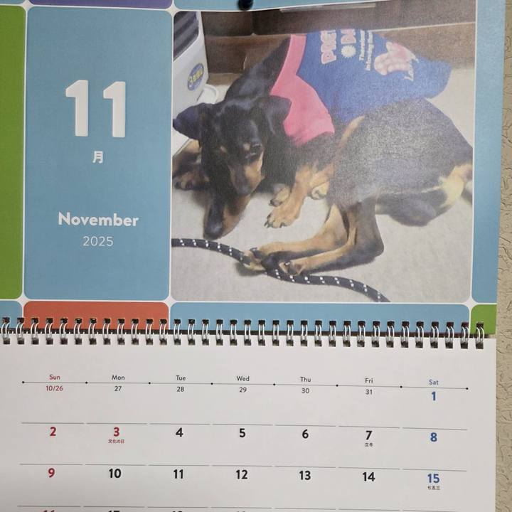 366f078d 2093 42d1 9fe2 e572a17b0f98 1761944904136