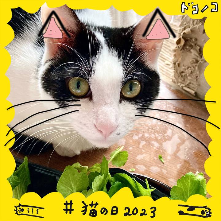 366f28af c765 42a1 9efe 1a39c5d51e15 1677053621249