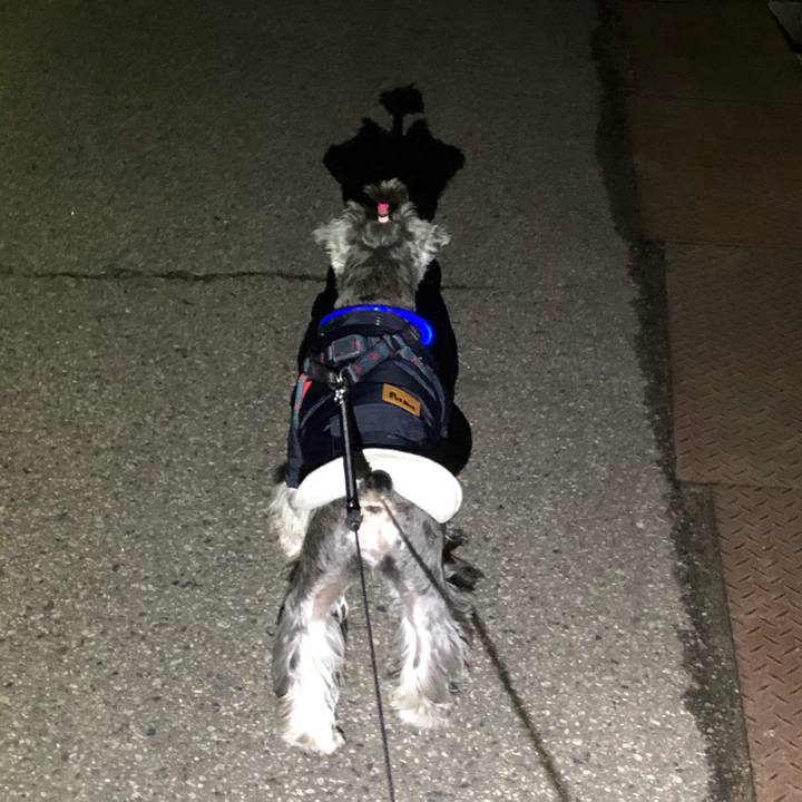 366fb203 70fb 41cb a0db 3f2feca43803 1644668256304