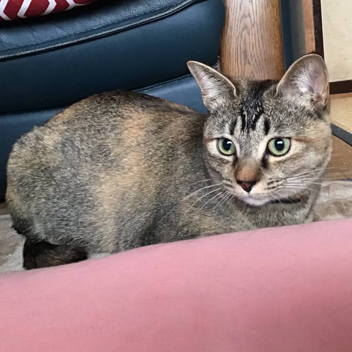 366fb326 1d43 474a 8aff 65319bb5f305 1582331851871