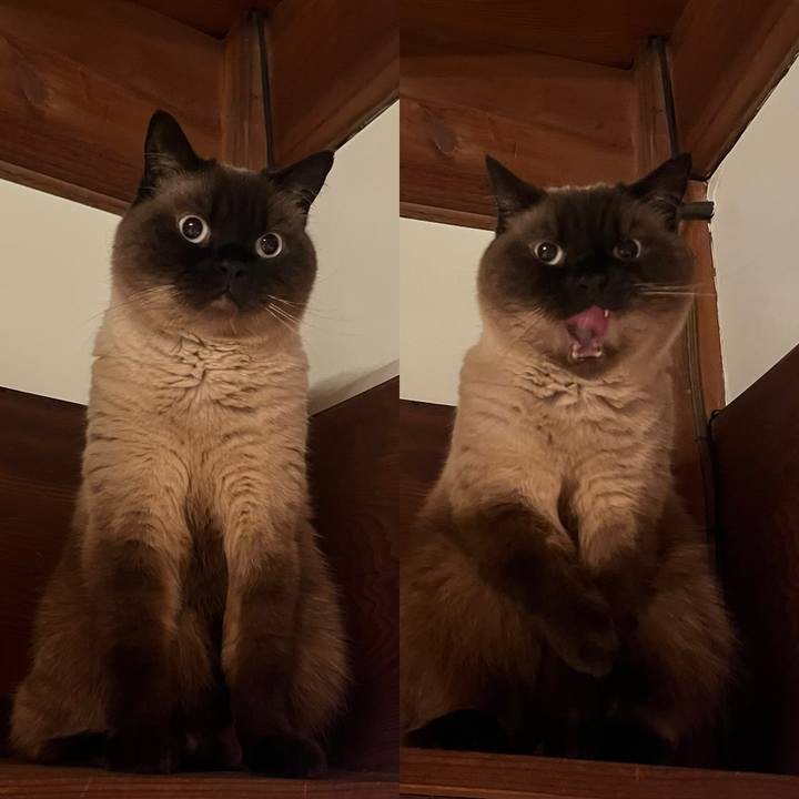 366fbf37 e714 4198 a418 479a74f59fbf 1687232228645