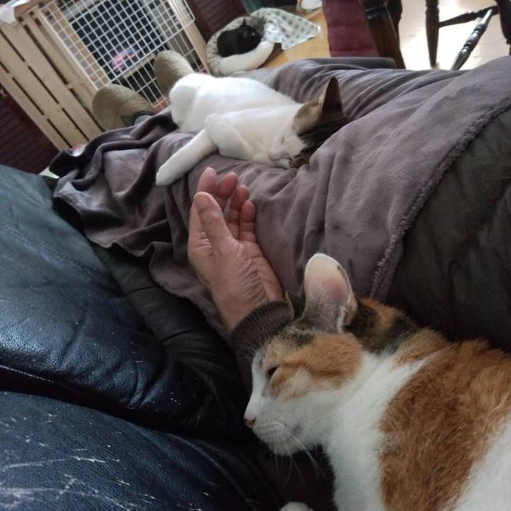 366fd2b1 8bd0 4ac0 a435 5858d49ba2bf 1677066186896