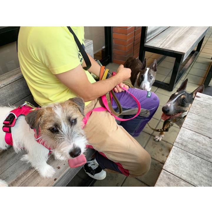 366fe681 524f 498e a1f9 bac2067a0515 1567942089615