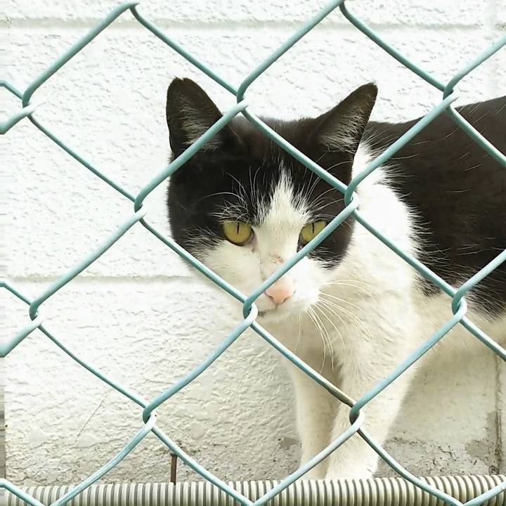 36702280 57f2 44fc 9620 4f79c9fb42ac 1520395945623