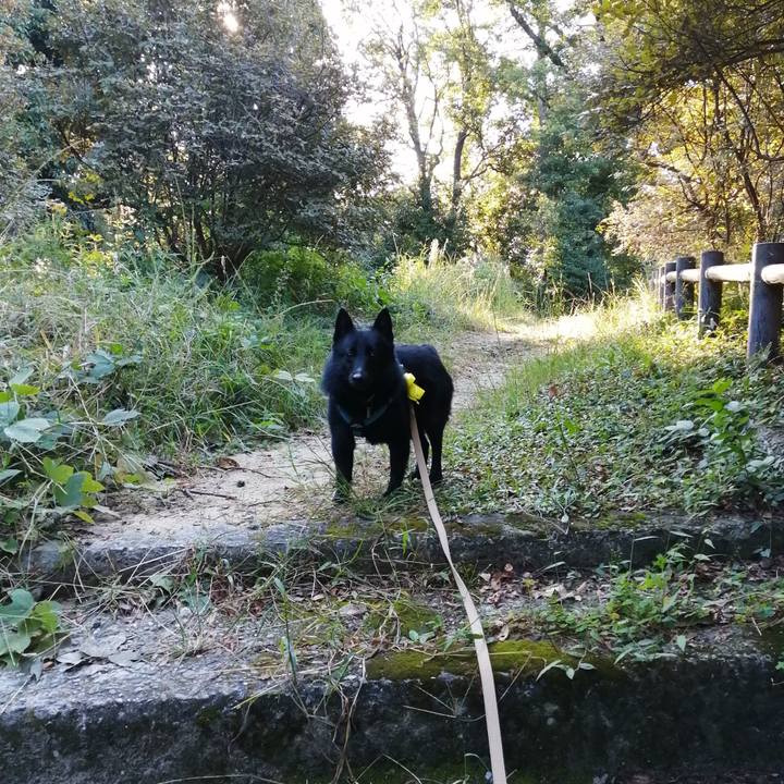 367061a8 e114 4b5b ac83 f9a3586dd83a 1664663690029