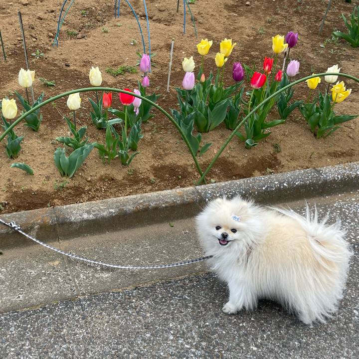 3670ac9e 015b 499f b6da 0b85f2f5b429 1680734115192