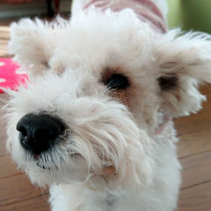 3670b697 18b9 468b 9717 d992f2707958 1519949484116