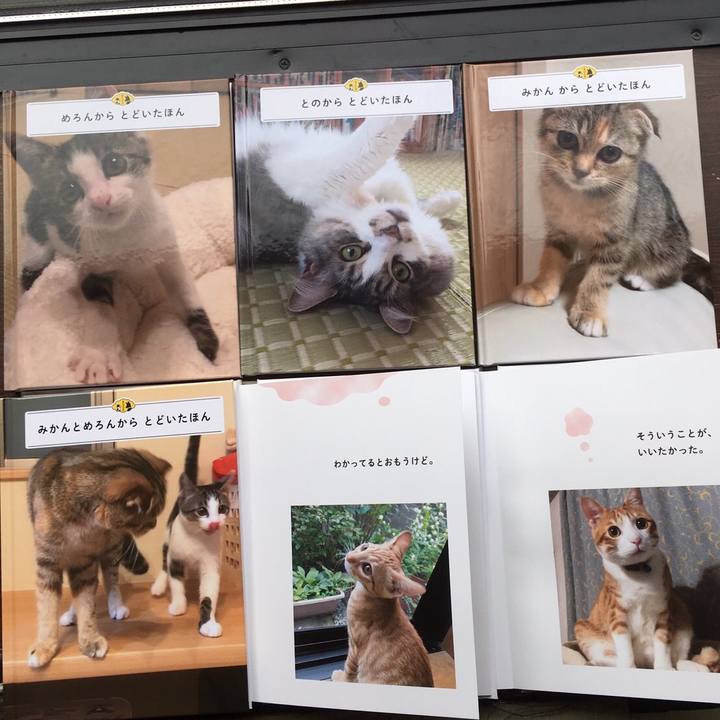 3670f7a2 0711 4683 8934 62c43f0d29a8 1509544408193